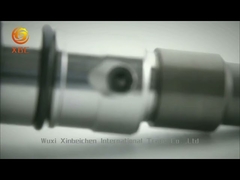 Engine Diesel Spare Parts 0 445 120 007 Common Rail Injector